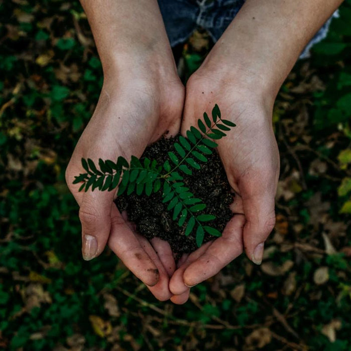 5 Ways to Celebrate Earth Day Everyday