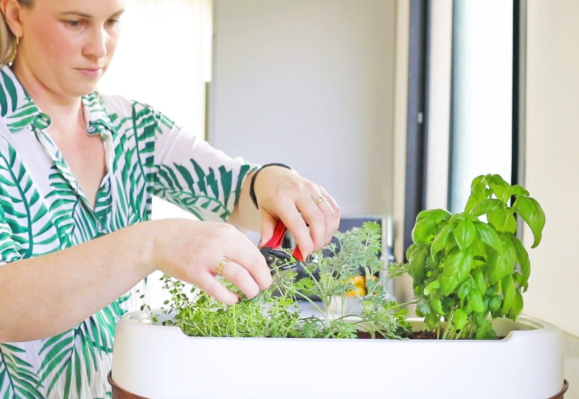8 Reasons to Grow Your Own Food