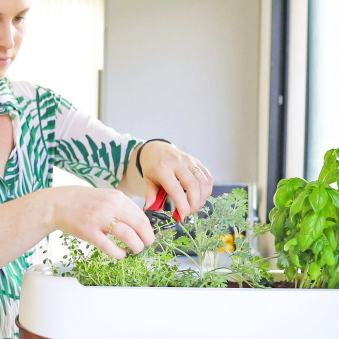 8 Reasons to Grow Your Own Food