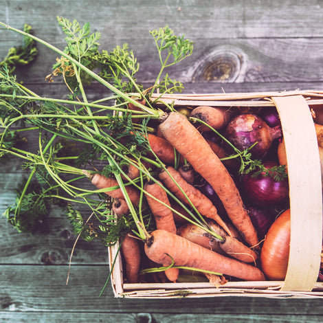 Best Easy to Grow Vegetables for Beginners