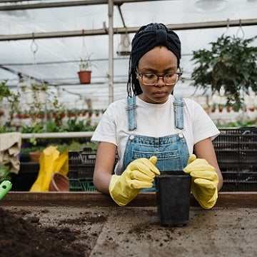 Best and Unique Gift Ideas for Indoor Gardeners 2021