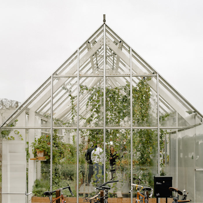A Journey into Greenhouse Gardening