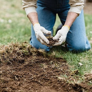 How Should I Fertilize My Vegetable Garden?