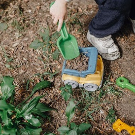 Fun Plant Activities for Kids
