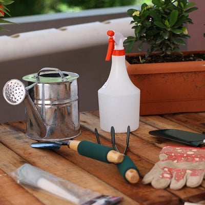 Gifts For The Plant Lover