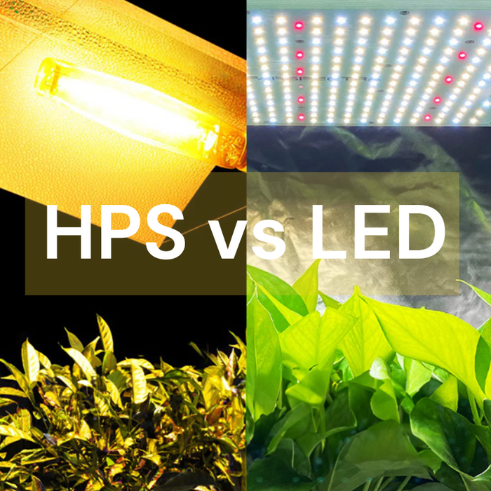 HPS vs. LED Grow Lights: Which is Better for Indoor Farming?