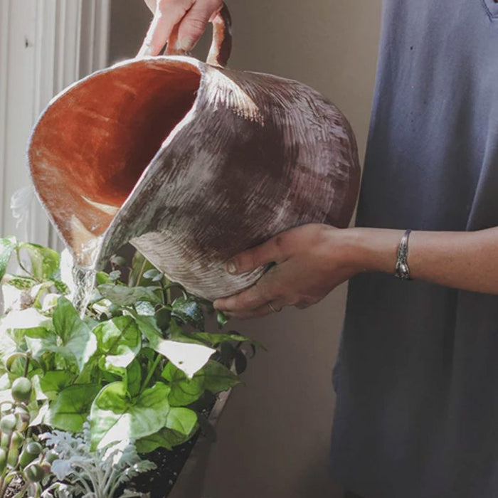 Homesteading 101: Getting Started