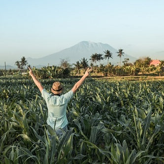 How Much to Plant Per Person for a Year’s Worth of Food