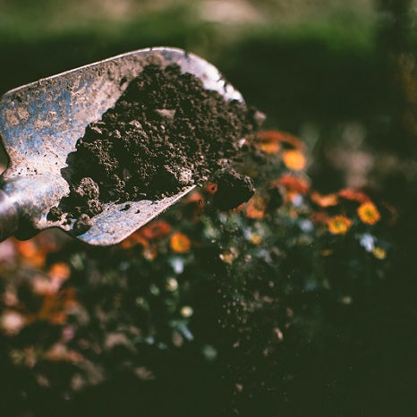 How To Improve Your Garden Soil