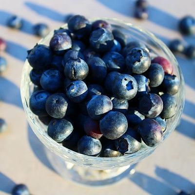 How to Grow Blueberries in Containers