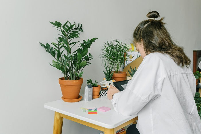 Indoor Plants for Asthma and Allergies