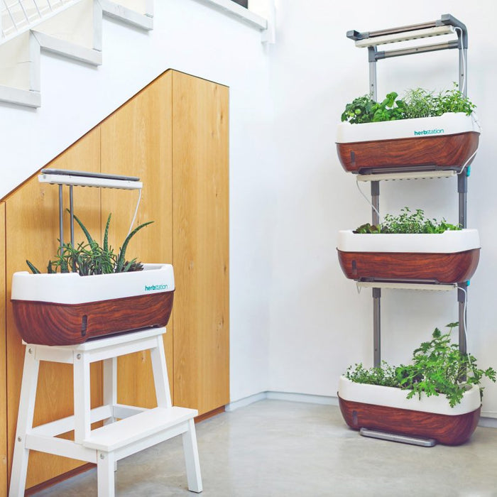 Kickstart Your Growing Journey With Herbstation