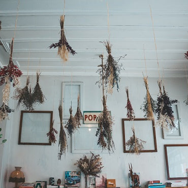 Plant Hanging Hacks That Won’t Damage Your Ceiling or Wall