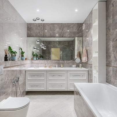 Plants for bathrooms without windows or low light