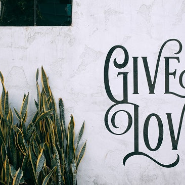 Popular Types of Dracaenas Used Indoors and Outdoors