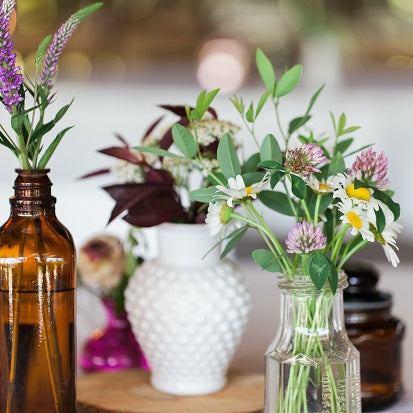 Romantic Houseplants for Valentine’s Day