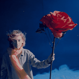 Significance Of Different Flowers For Different Occasions