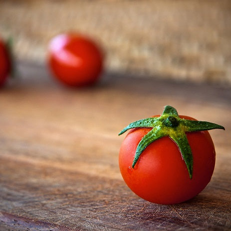 Tips For Growing Great Tomatoes