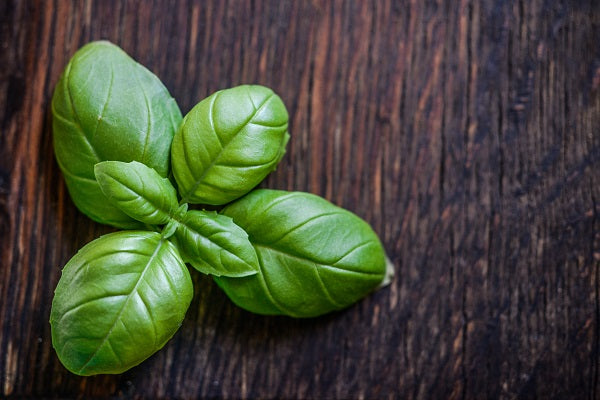 Tips for Preserving Basil All Year Long