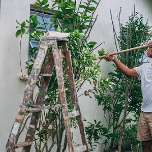 Unique Gardening Gifts For Dad