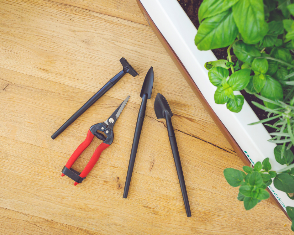 The Gardener's Arsenal: Essential Tools for a Flourishing Garden
