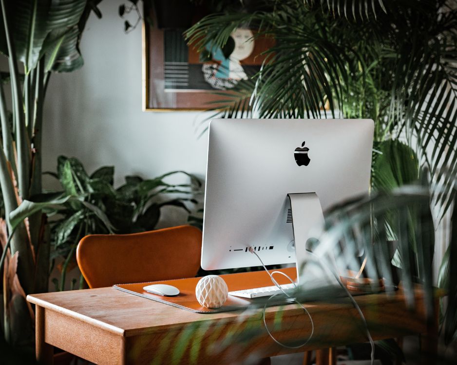Jungle Vibes at Work: How Indoor Farming Spruces Up the Office Oasis