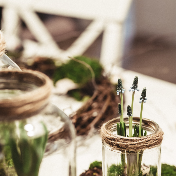 Green Thumbs and Clever Crafts: A DIY Journey in Upcycling for Plant Lovers