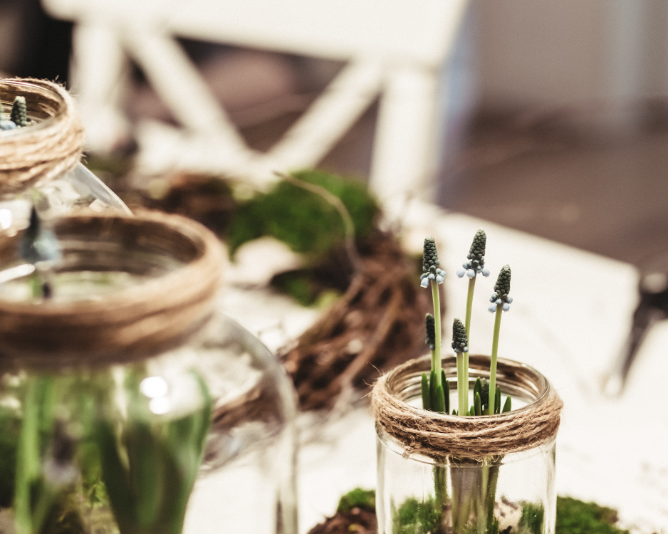 Green Thumbs and Clever Crafts: A DIY Journey in Upcycling for Plant Lovers