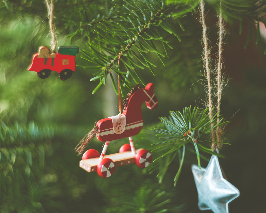 The Green Gift Guide: Sprouting Cheer with Plants for a Merry Christmas