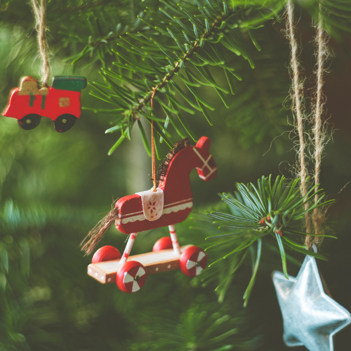 The Green Gift Guide: Sprouting Cheer with Plants for a Merry Christmas