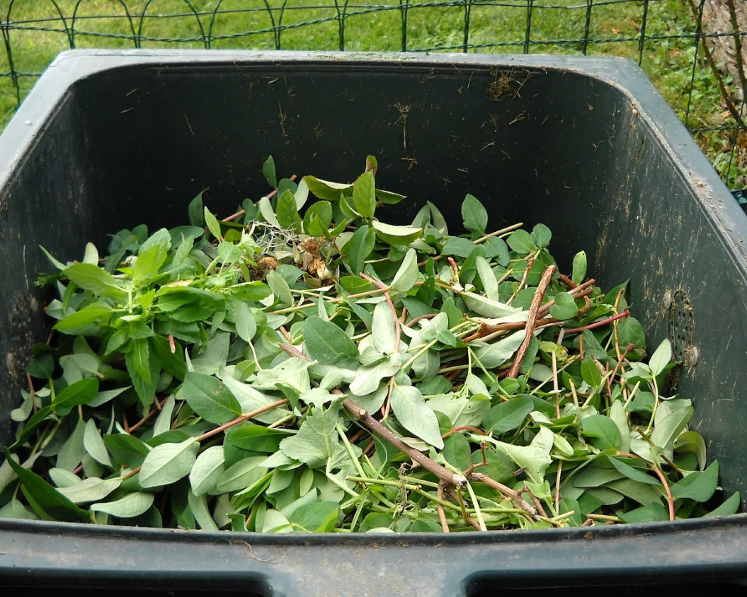 Turning Over a New Leaf: Smart Strategies for Garden Waste Management