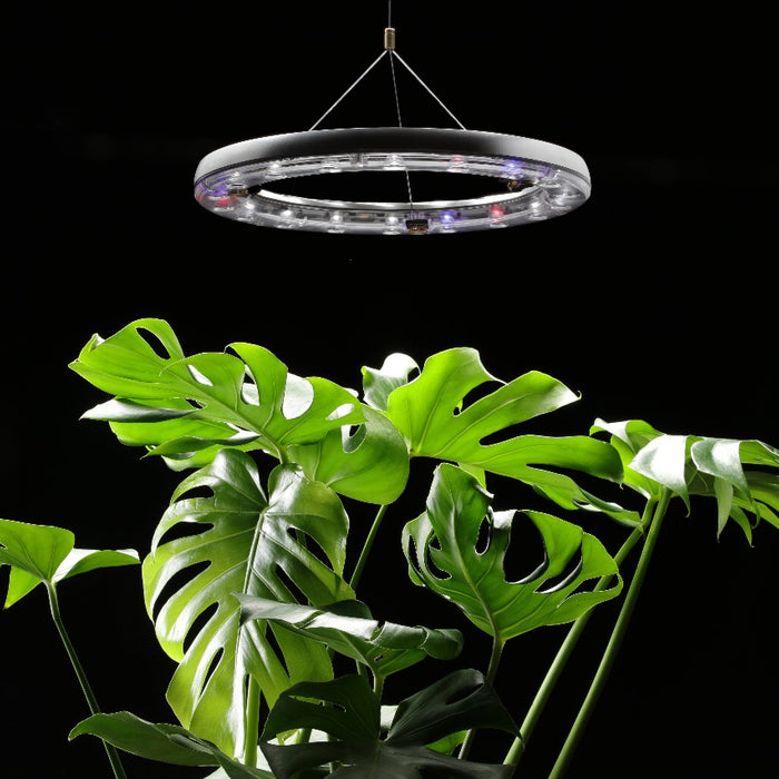 How Smart Devices are Transforming Plant Care