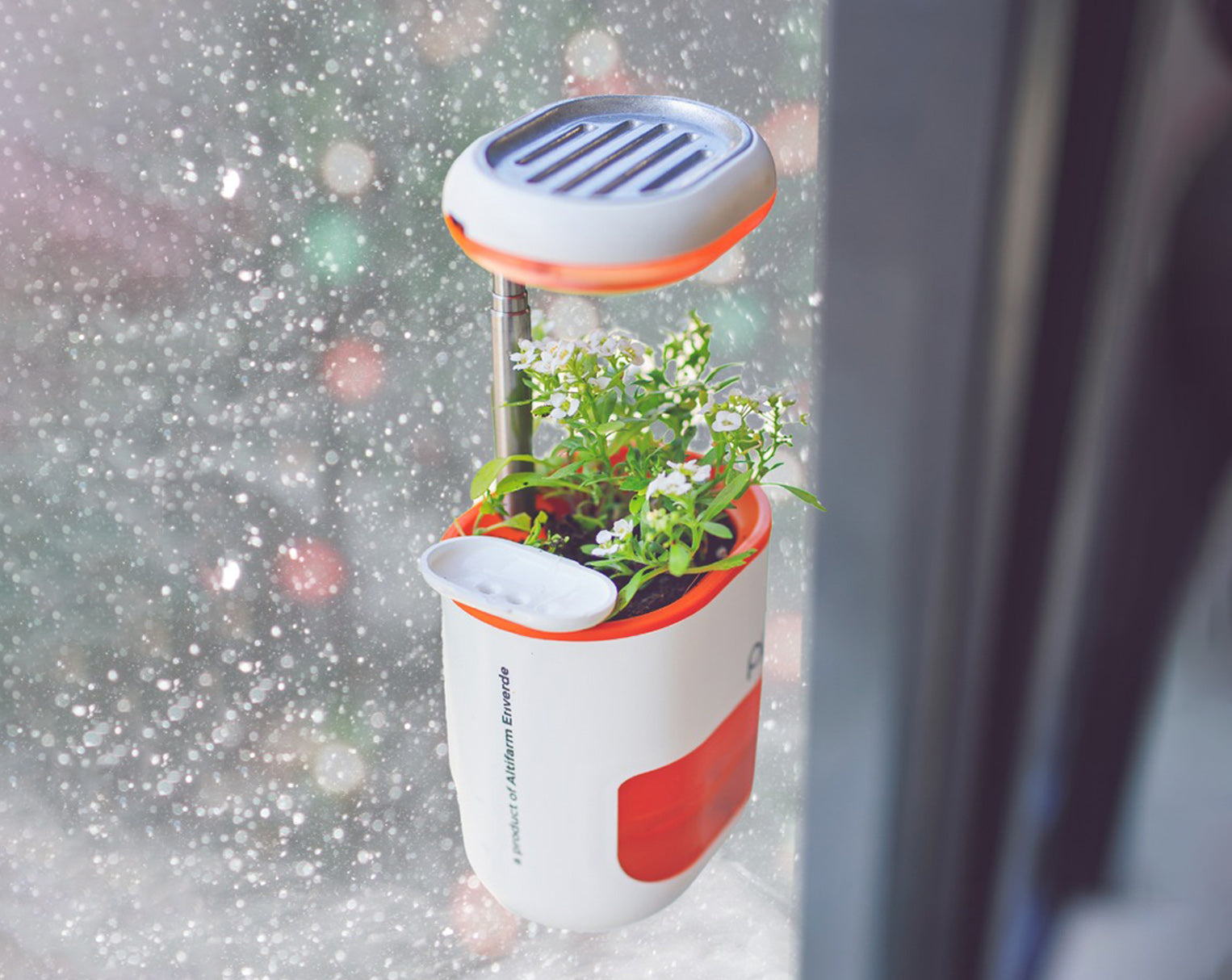 Top-5 Winter Gardening Tips