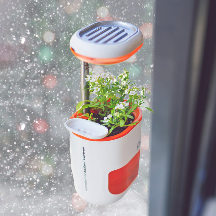 Top-5 Winter Gardening Tips