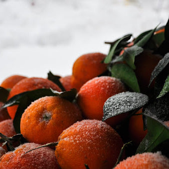 Winter Garden To-Do List