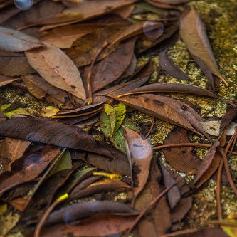 How to Handle Garden Waste?