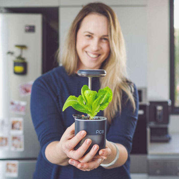 Getting Started With Pico