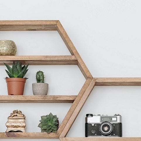 Extraordinary Ways to Display Your Plants