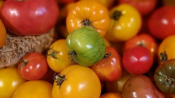 More Than 10,000 Varieties Of Tomatoes. Which One Are You Eating?