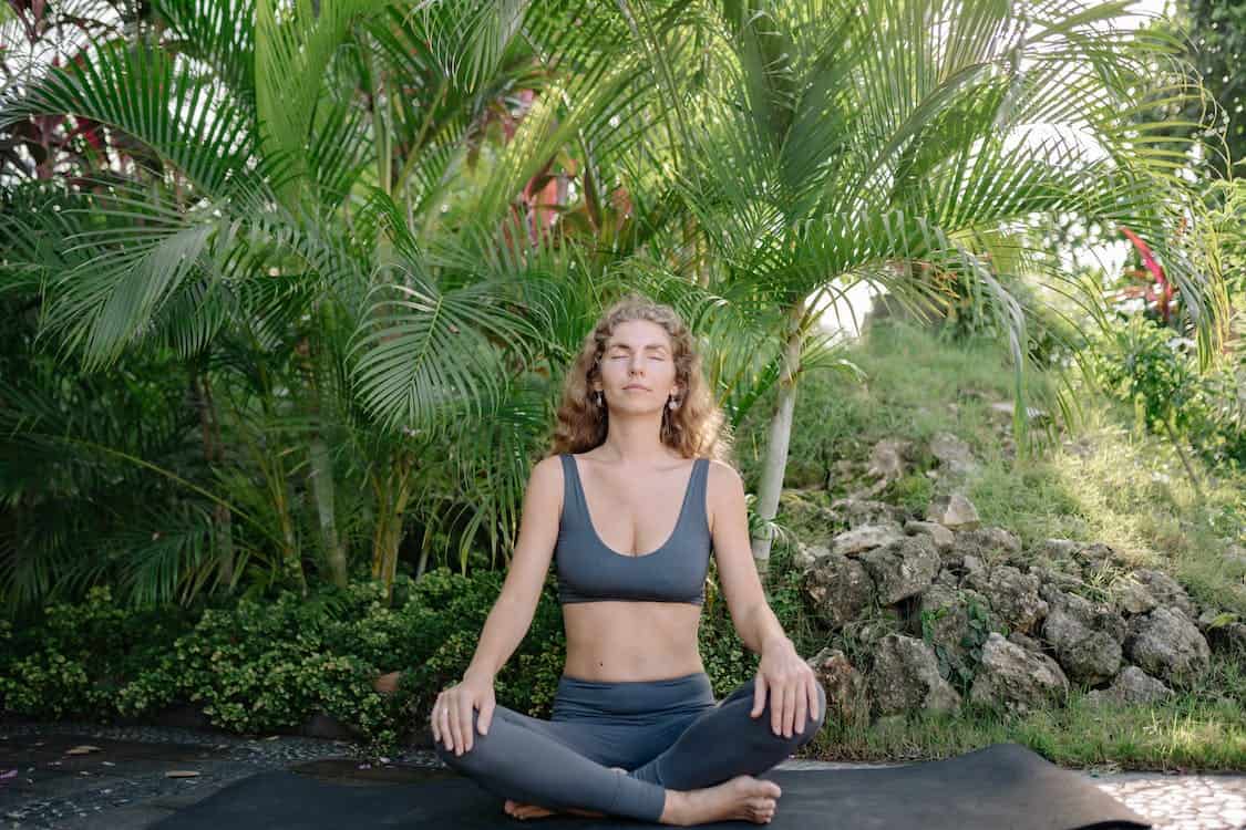 Creating A Zen Garden: How Indoor Gardening Can Help You Find Peace And Serenity