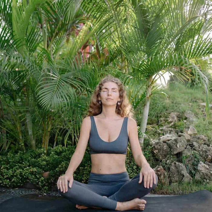 Creating A Zen Garden: How Indoor Gardening Can Help You Find Peace And Serenity