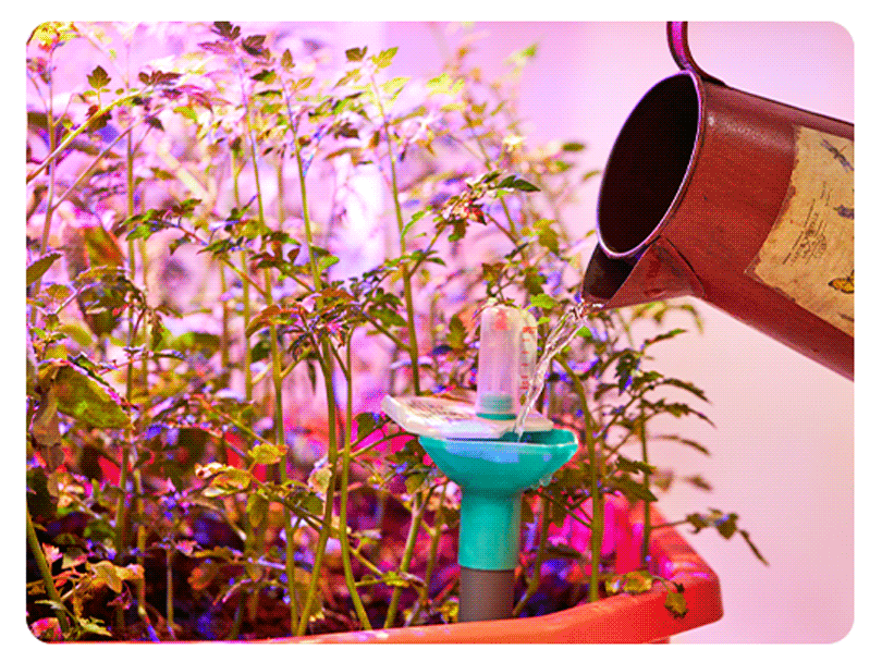 Guesswork-free watering