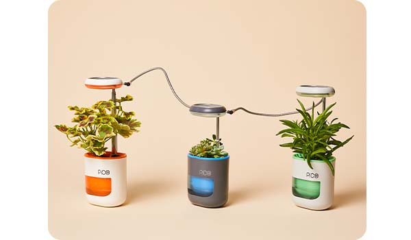 Daisy-chaining connections