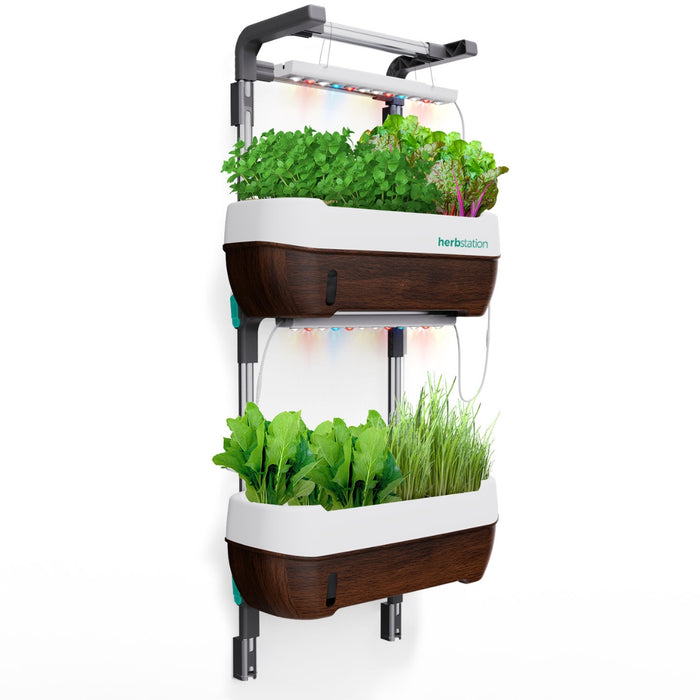 Herbstation Wall-Mounted