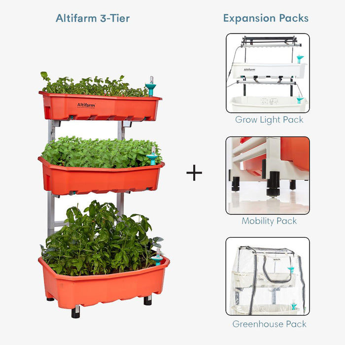 Peach / 3 Tier Combo