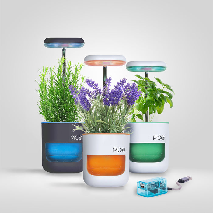 Assorted / Pack of 3