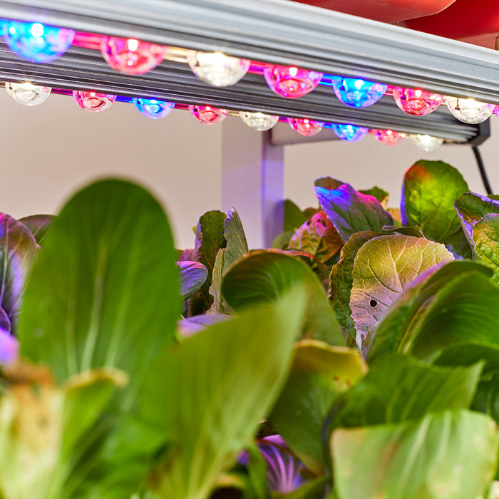 Altifarm - 3 Tier Combo