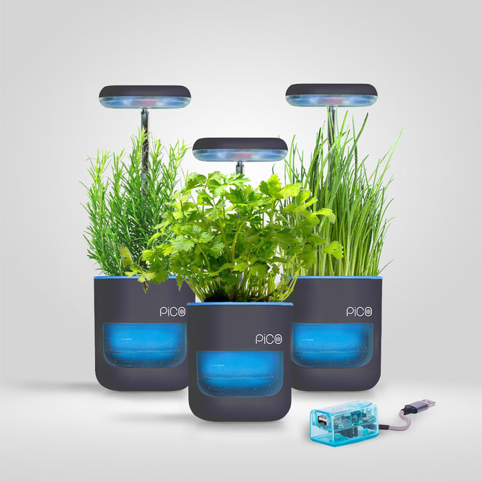 Stone Blue / Pack of 3