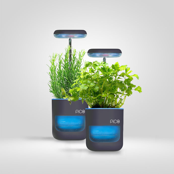 Stone Blue / Pack of 2