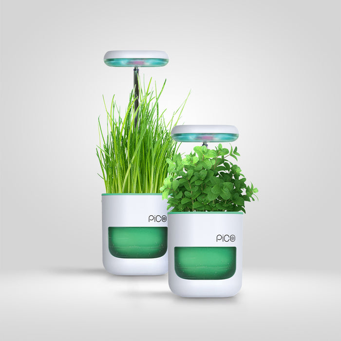 Sea Green / Pack of 2